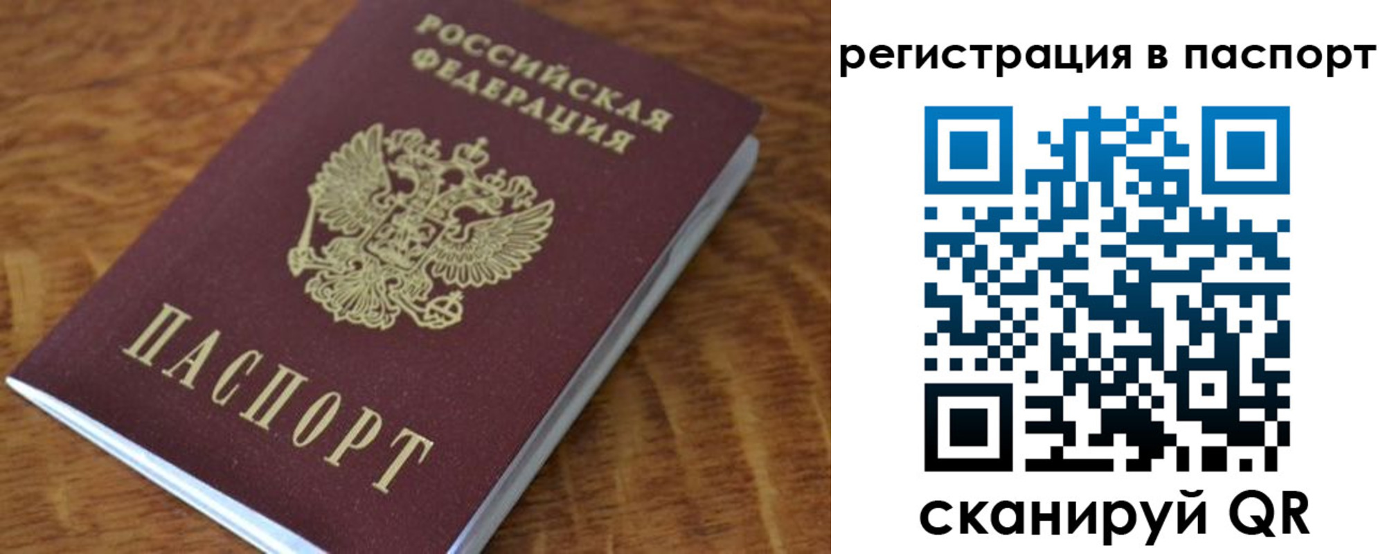 регистрация для школы в Ельне