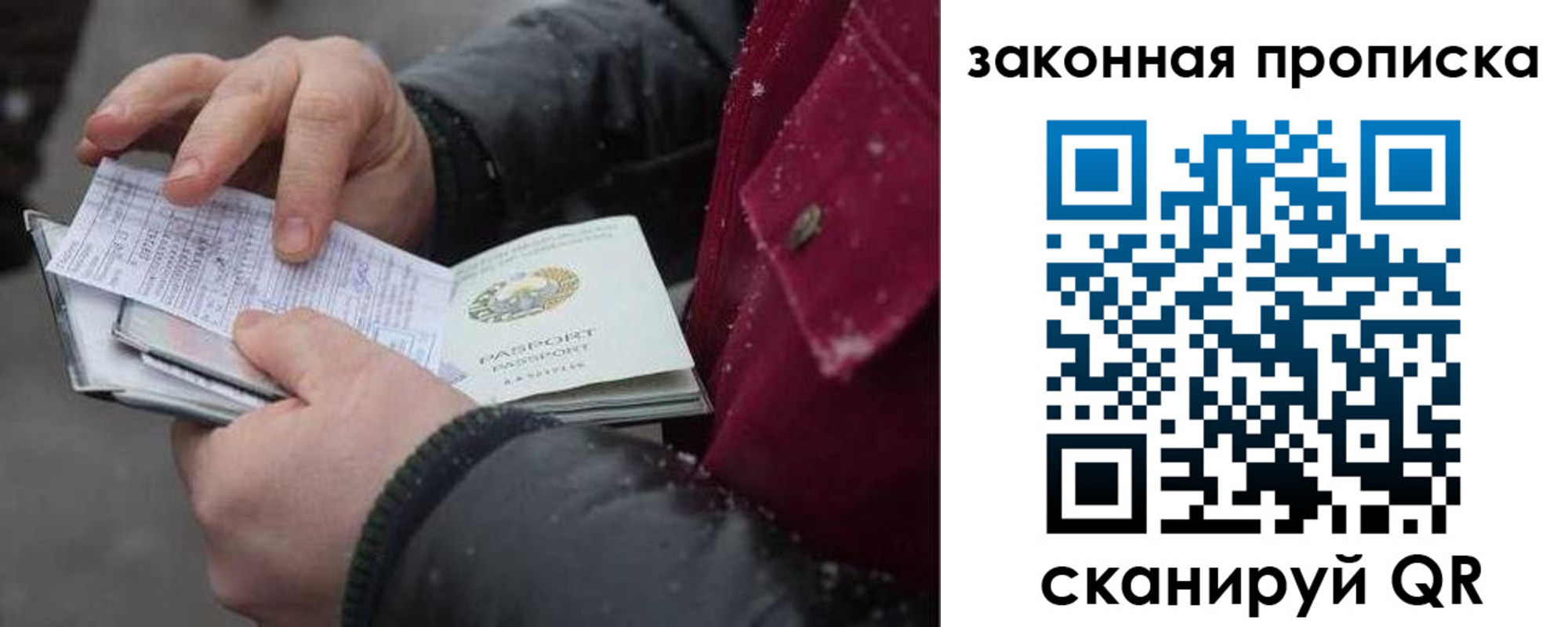 прописка поиск в Ельне